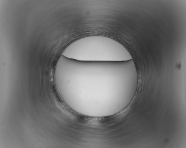 X0000112790182200908210948