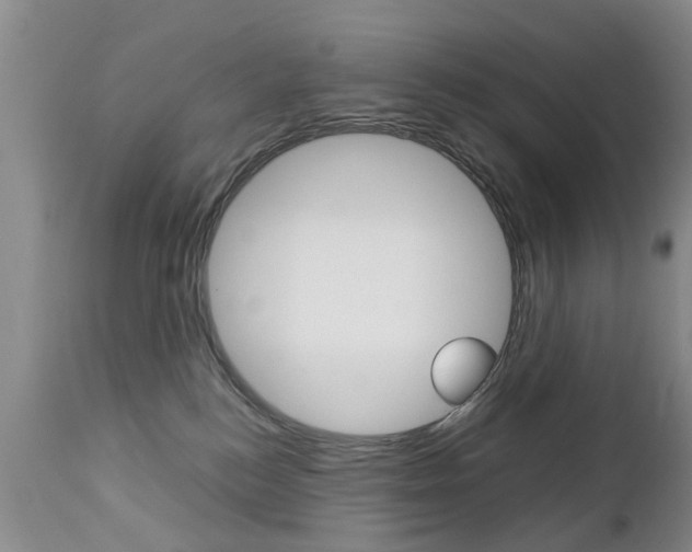 X0000112790184200908210948