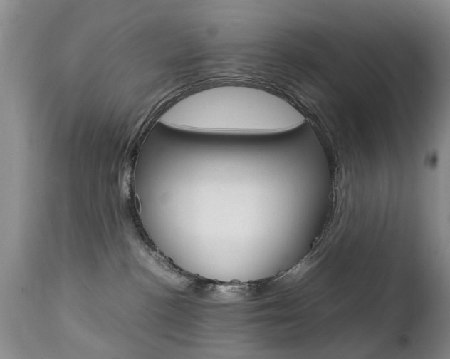 X0000112790188200908210948