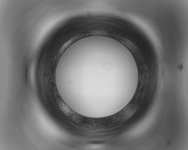 X0000112790189200908210948