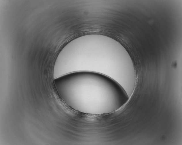 X0000112790190200908210948