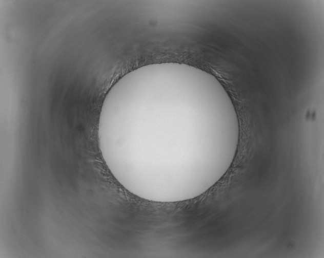 X0000112790192200908210948