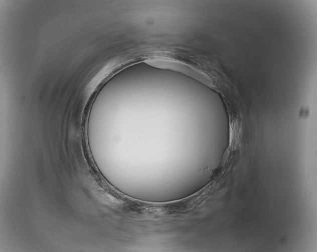 X0000112790195200908210947