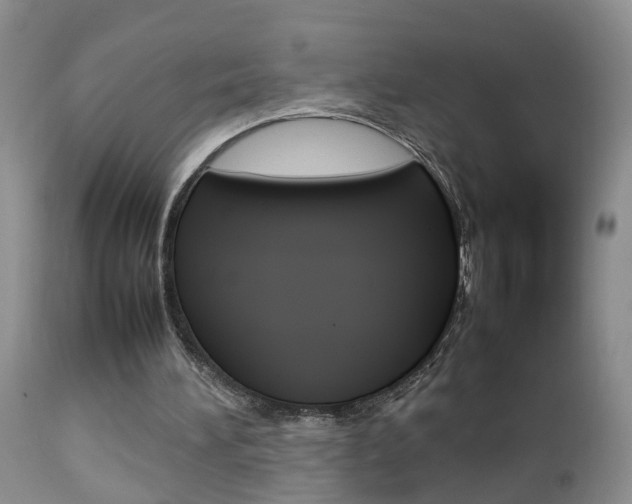 X0000112790196200908210947
