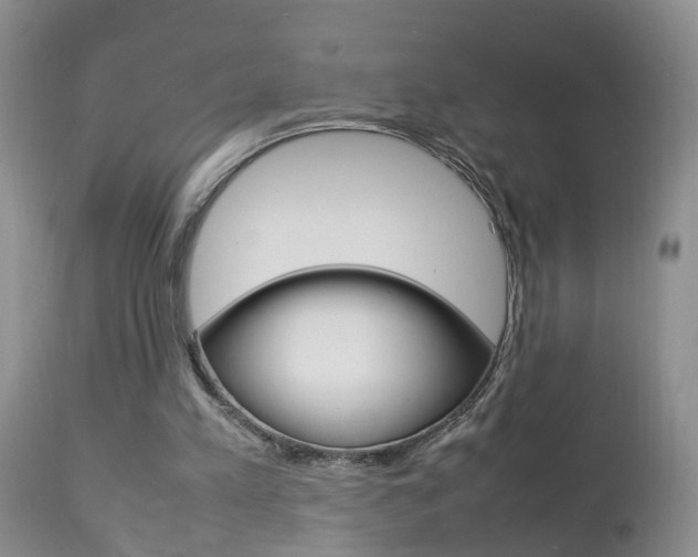 X0000112790197200908210947