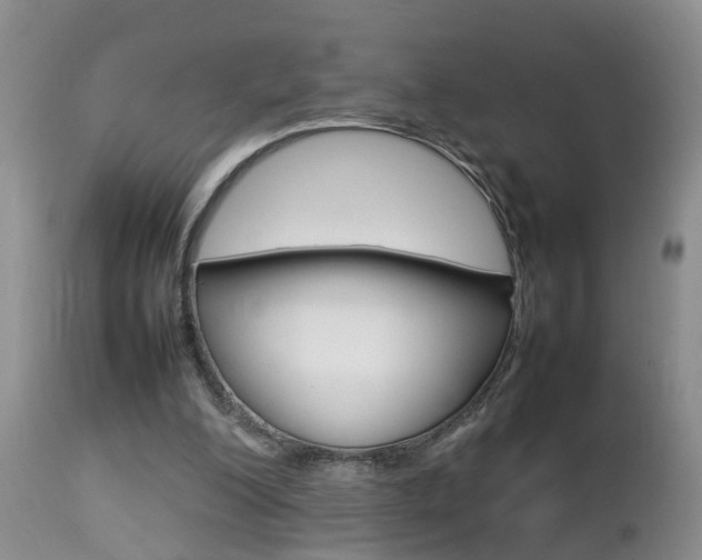 X0000112790200200908210947