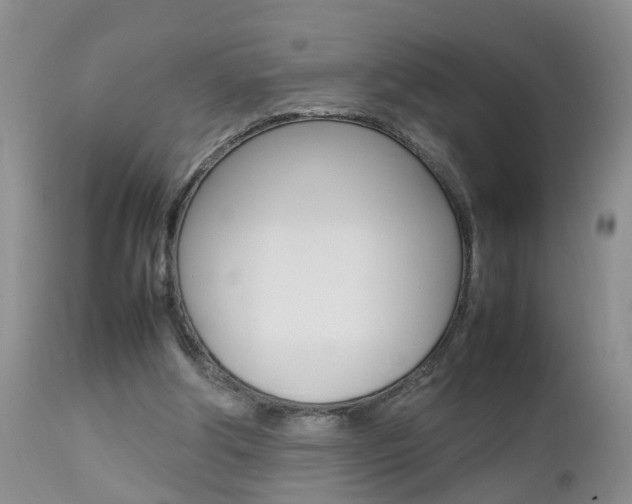 X0000112790202200908210947