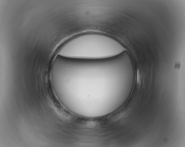 X0000112790204200908210947