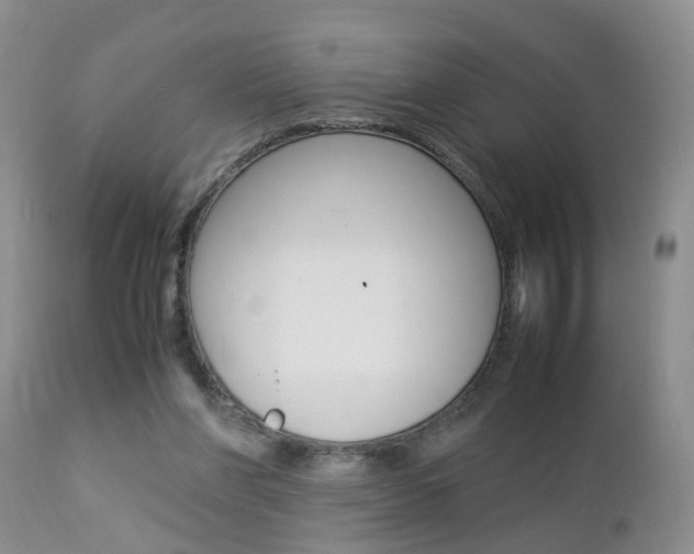 X0000112790206200908210947