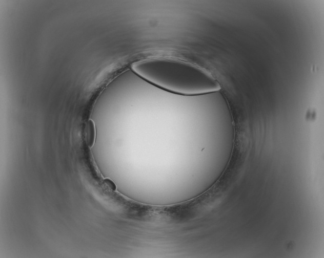 X0000112790207200908210947
