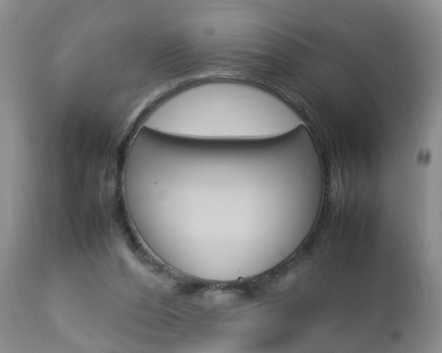X0000112790208200908210947