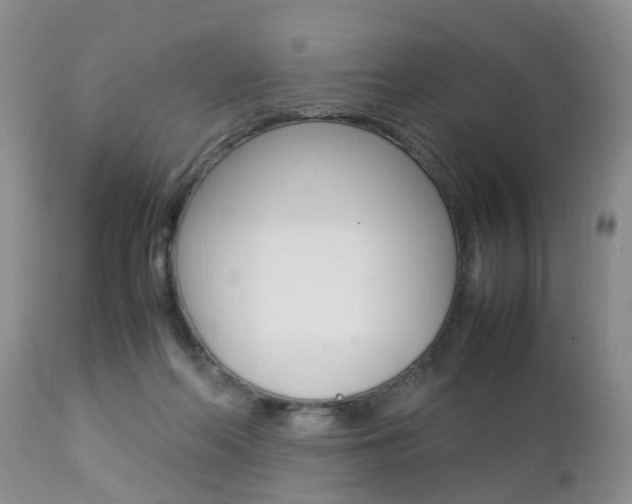 X0000112790214200908210947