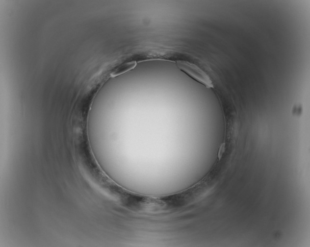 X0000112790215200908210947