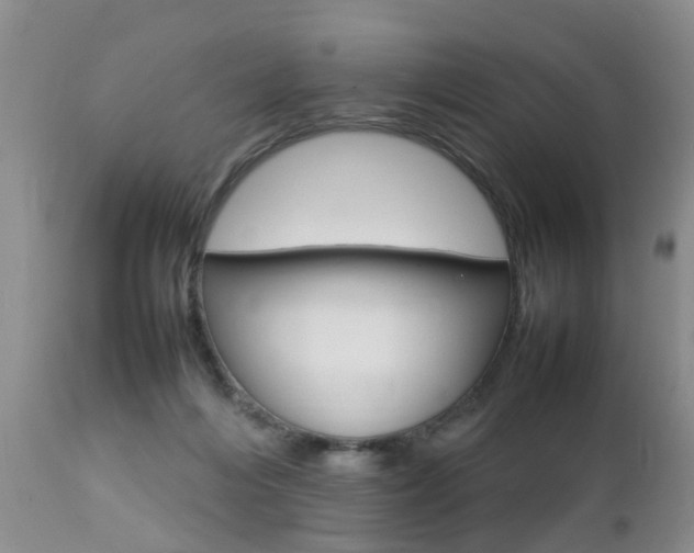 X0000112790216200908210947