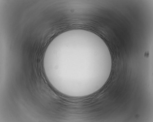 X0000112790219200908210947