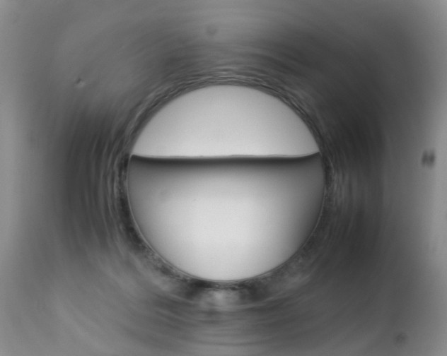 X0000112790220200908210947
