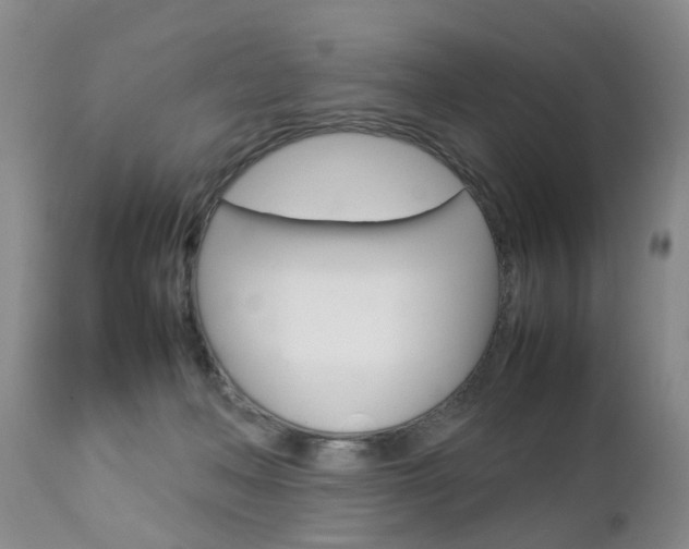X0000112790222200908210947