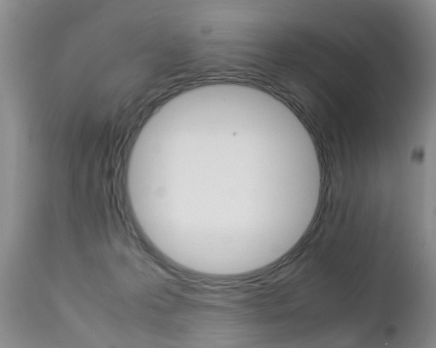 X0000112790223200908210946