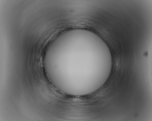 X0000112790224200908210946