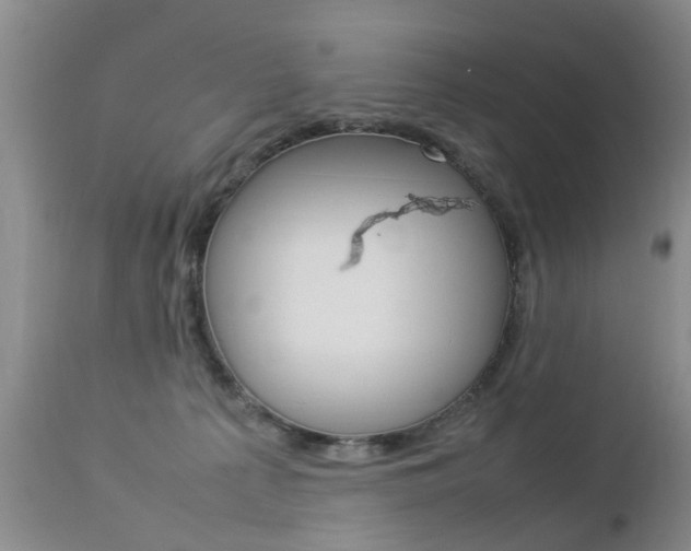 X0000112790225200908210946