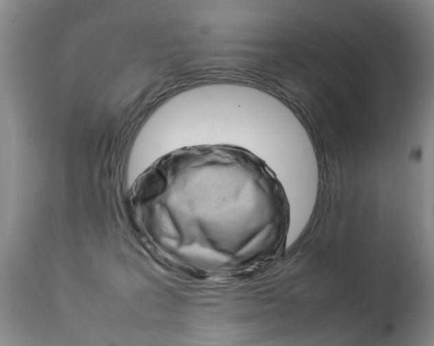 X0000112790227200908210946