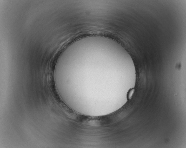 X0000112790228200908210946