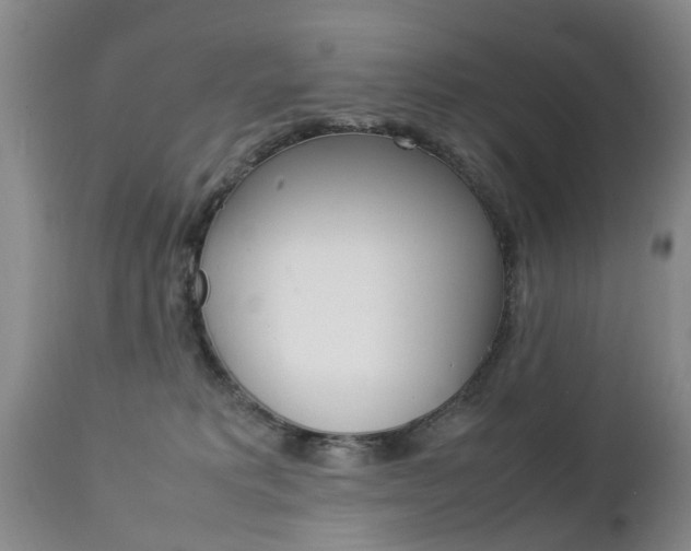 X0000112790229200908210946