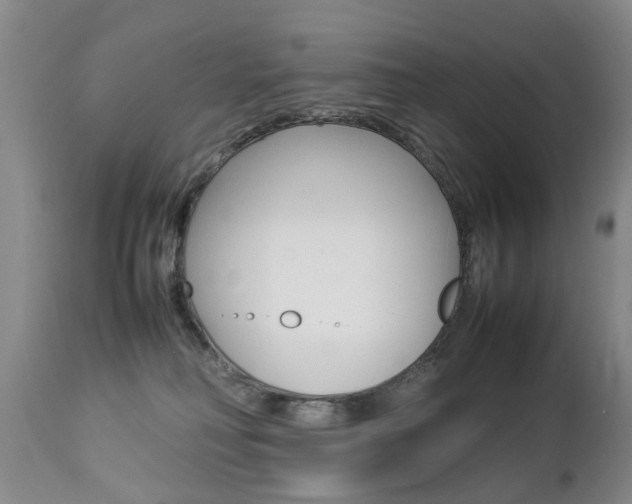 X0000112790230200908210946