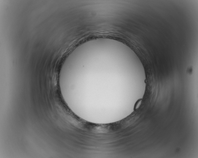 X0000112790232200908210946