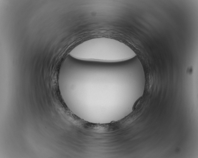 X0000112790236200908210946