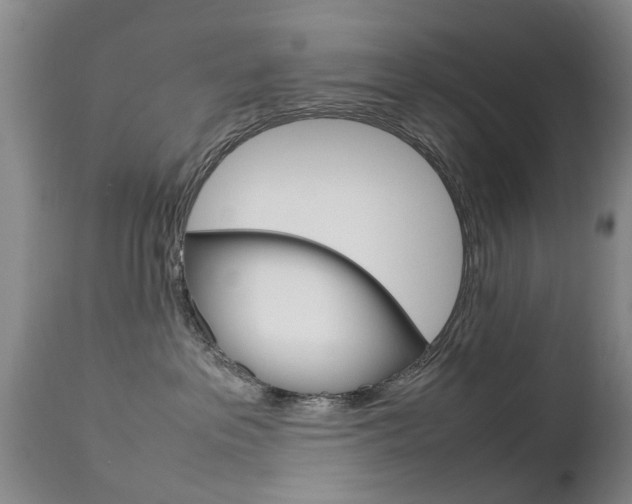X0000112790237200908210946