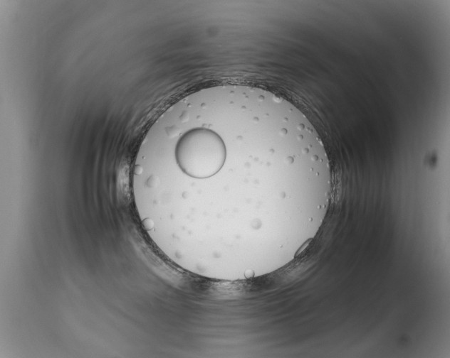 X0000112790238200908210946