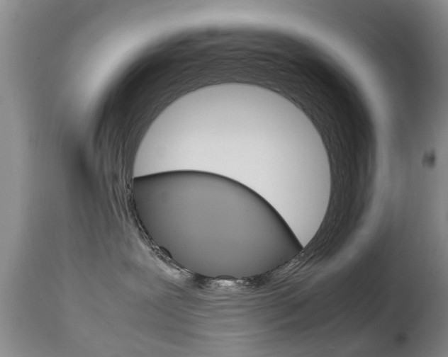 X0000112790239200908210946