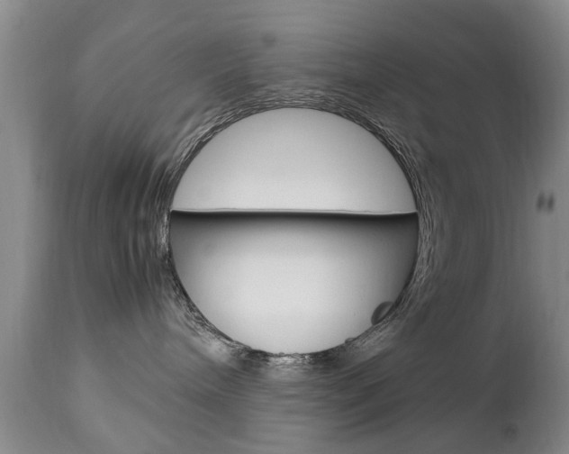 X0000112790240200908210946