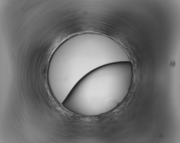 X0000112790241200908210946