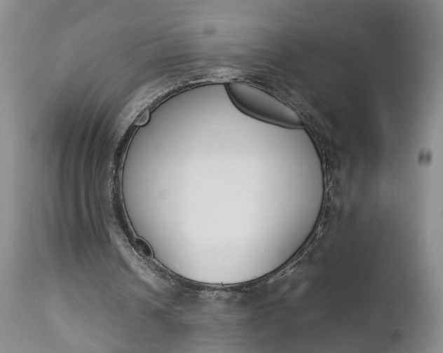 X0000112790242200908210946