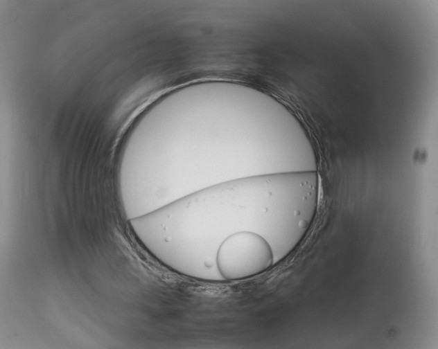X0000112790243200908210946