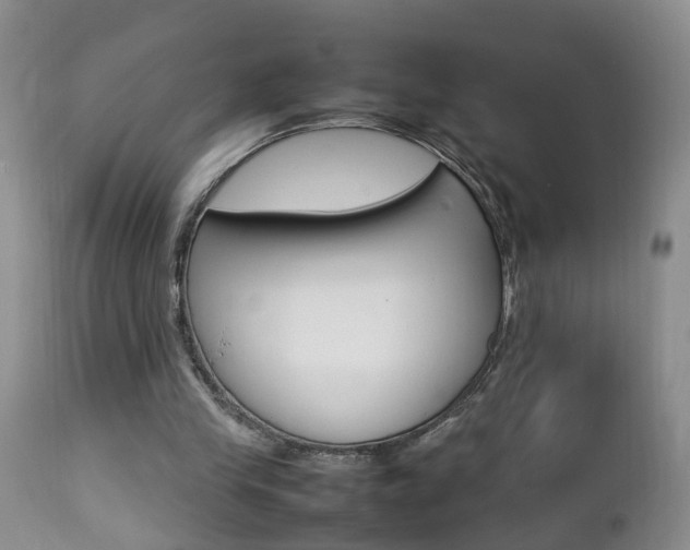 X0000112790245200908210946