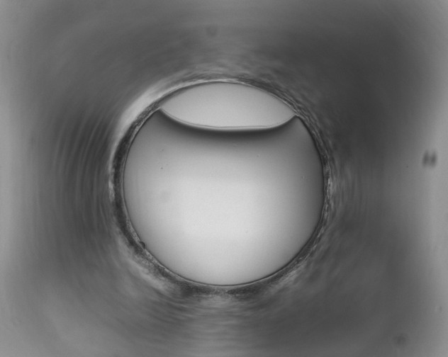 X0000112790246200908210946