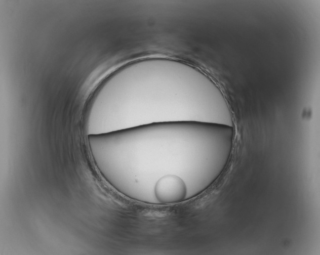 X0000112790247200908210946