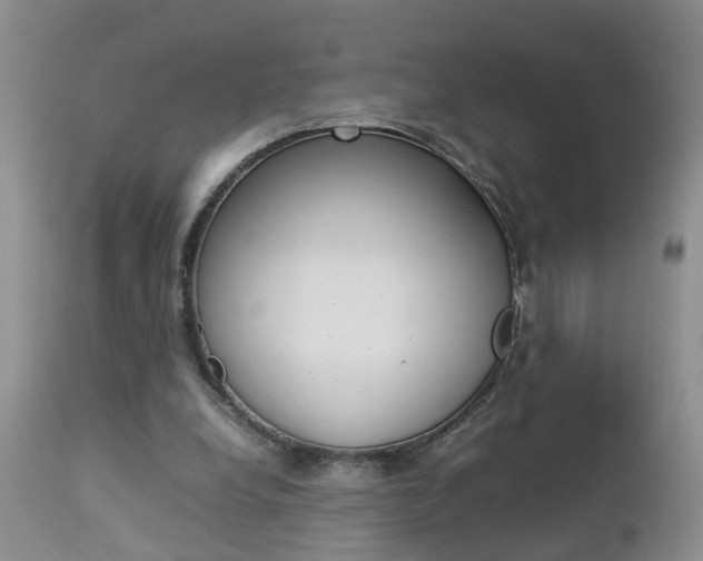 X0000112790248200908210946