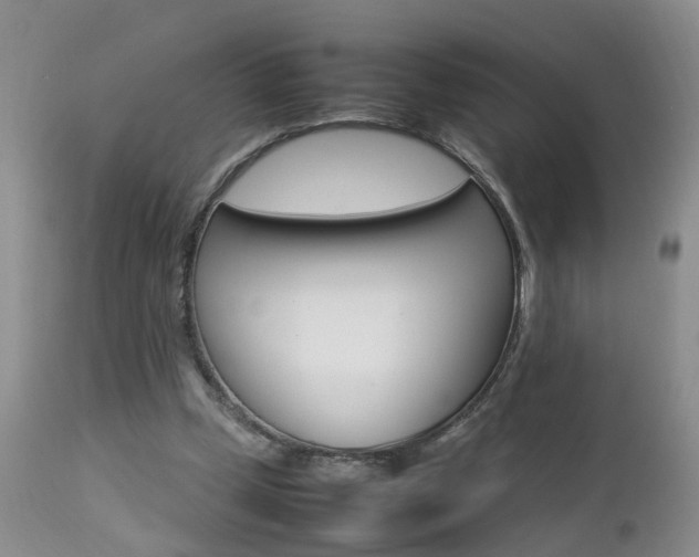 X0000112790249200908210946