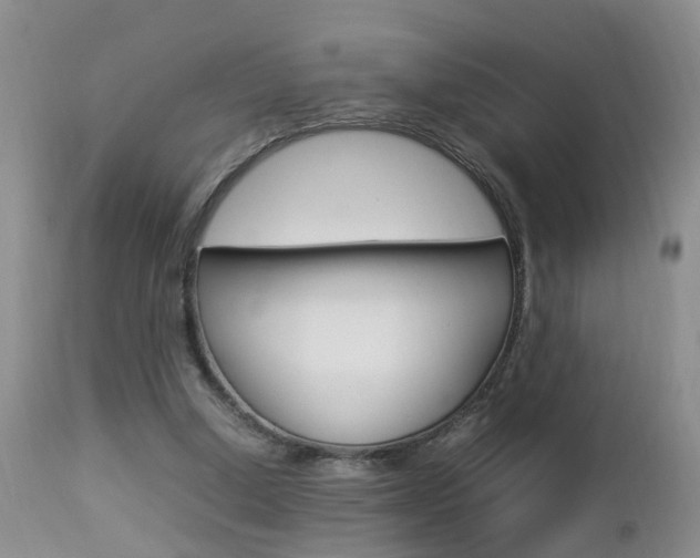 X0000112790250200908210946