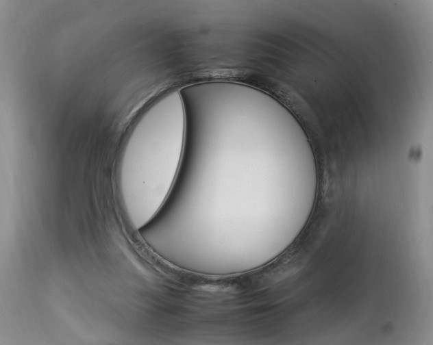 X0000112790251200908210946