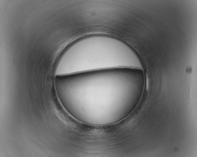 X0000112790252200908210946