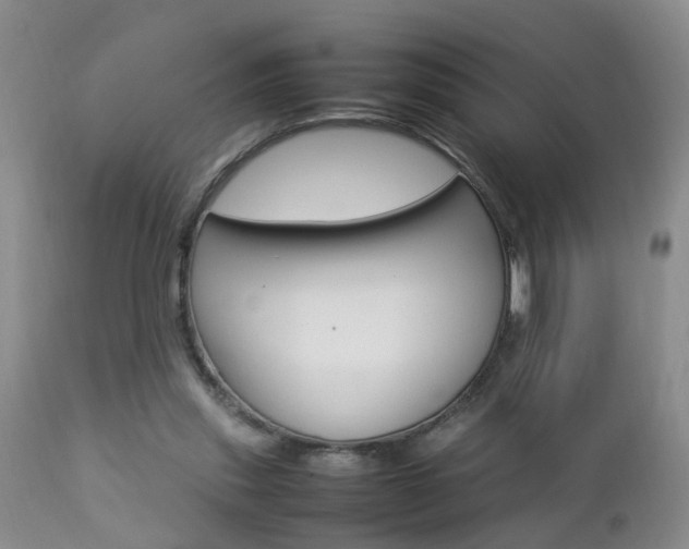 X0000112790253200908210946