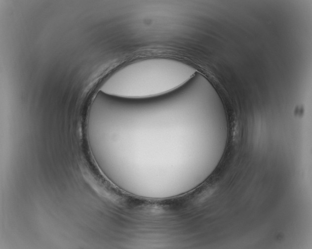 X0000112790254200908210946