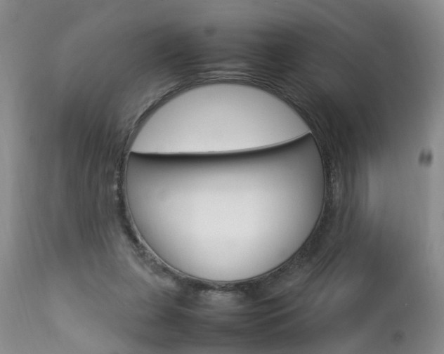 X0000112790255200908210946