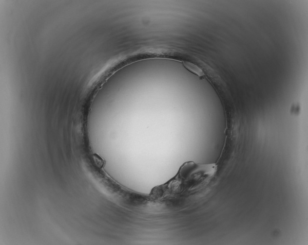 X0000112790256200908210946