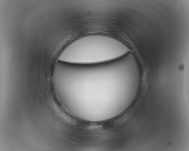 X0000112790257200908210946